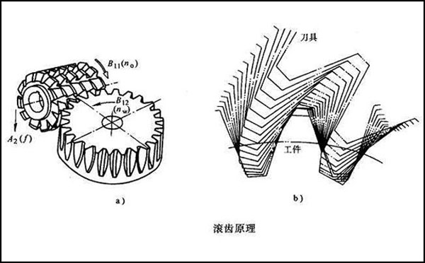 齿轮滚齿加工